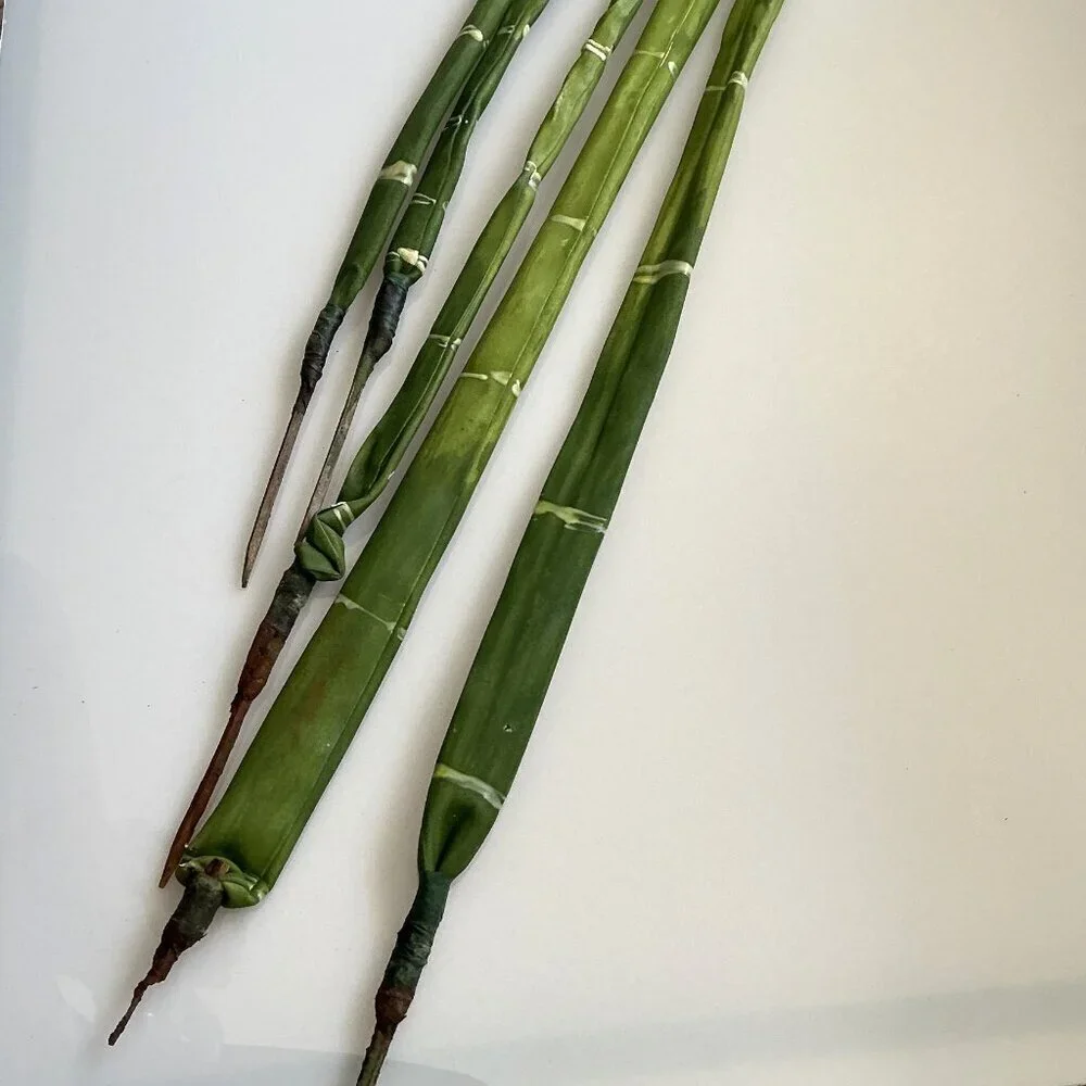 BAMBOO WITH DETACABLE POLES TALL CRAFT DIY BUNDLE ARTIFICAL (FLAWS)